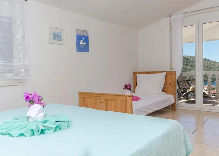 Apartment Nedi Podglavica